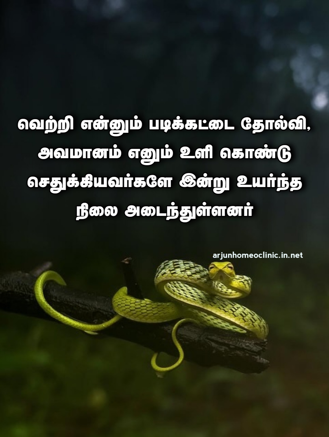 Tamil Avamanam Lines