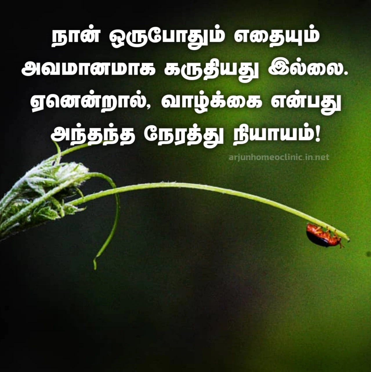 வாழ்க்கை அவமானம் வரிகள்