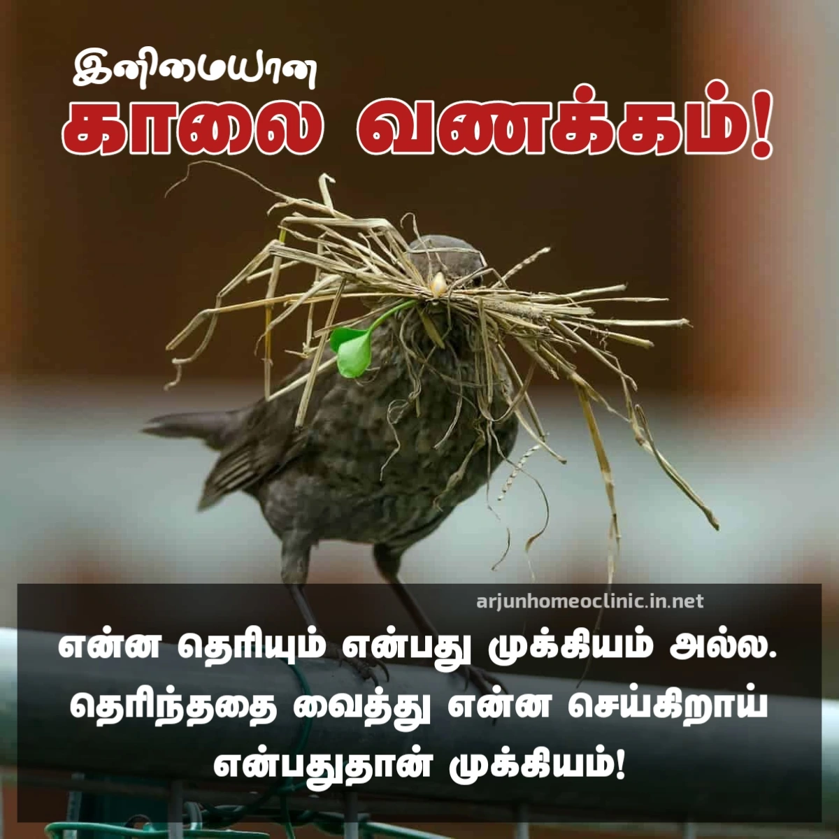 good morning images in tamil hd