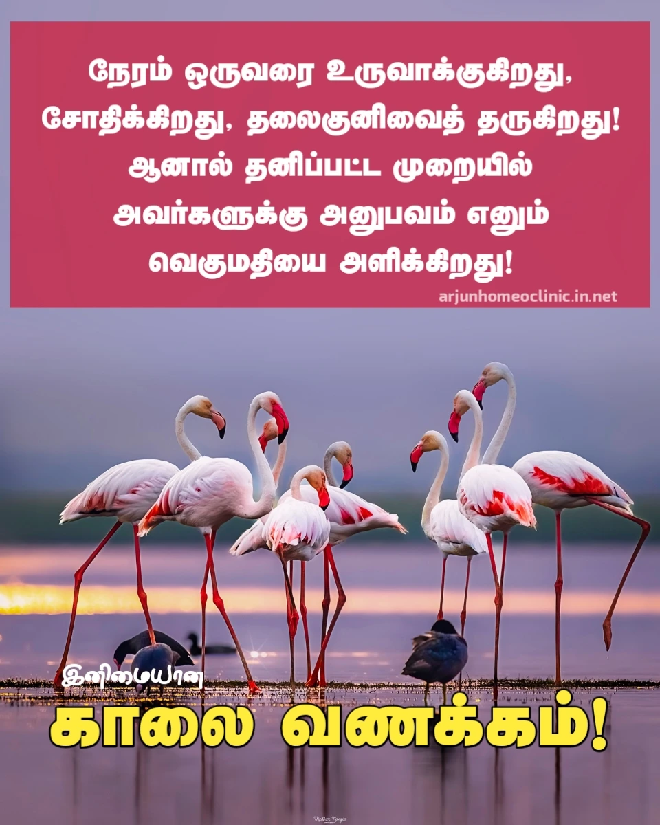 good morning images tamil